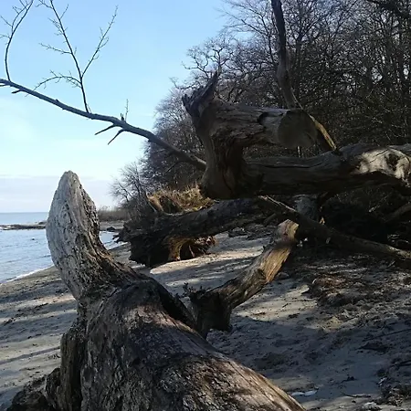 Ferienhaus Am Strand * Loissin